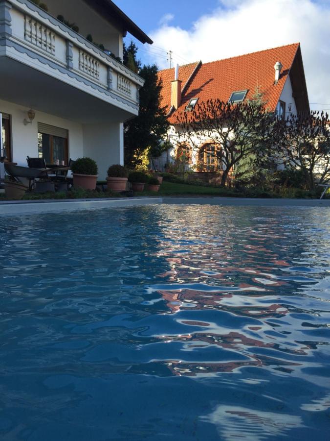 Ferienwohnung Meyer Ranschbach Экстерьер фото